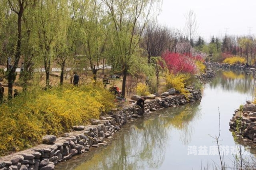 久久这里只有精品青草久久这里只有精品青草，探索绿色生态与水蜜桃在线播放生活的完美结合