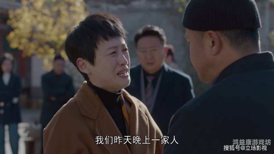 国产影视剧的多元化发展，从A级制作到观众体验的全方位提升