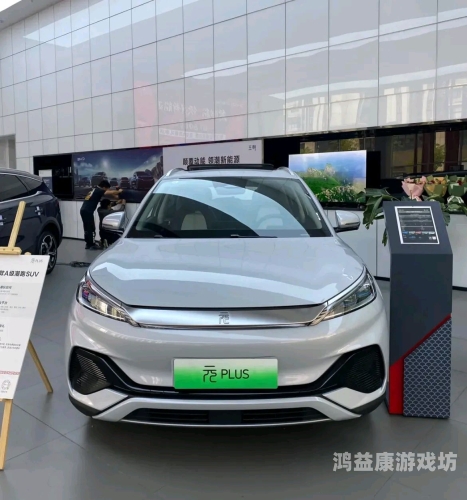 国产国精品国产自，中国自主品牌的崛起与未来展望