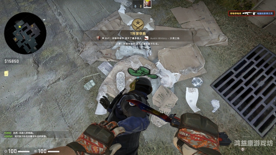 CSGO官方网站详解，游戏入门指南与赛事信息全揭晓