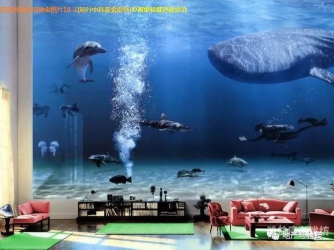 亚洲视频市场探秘，日本有码影片与中文内容的崛起