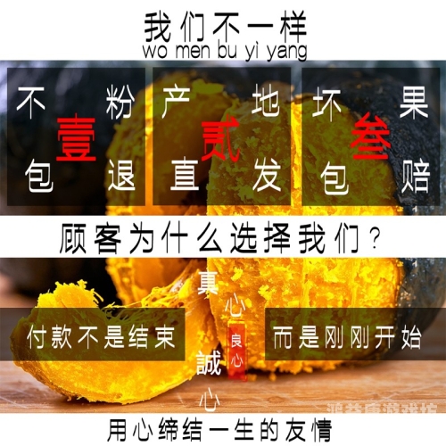 国产精品无码视国产精品无码视频崛起，文化自信与市场需求的完美结合