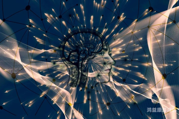 欧美VA天堂在线电影，探索数字时代的影视娱乐新趋势