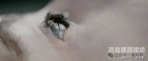 无码一级久久免费传媒，探索网络视频内容的多样性与监管挑战