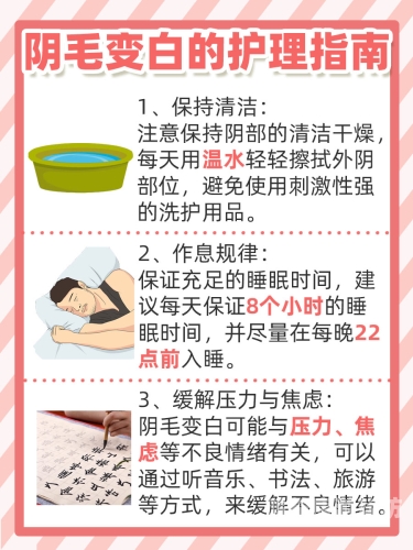 亚洲色欲网熟女少妇现象解析，社会文化与网络环境的交织