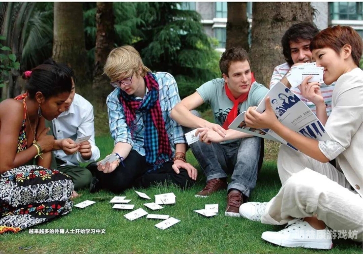 欧美日韩中文久久网站，全球中文内容的新兴平台日韩欧美中文144