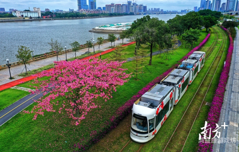 亚洲欧美一区在线，全球文化交融的数字桥梁