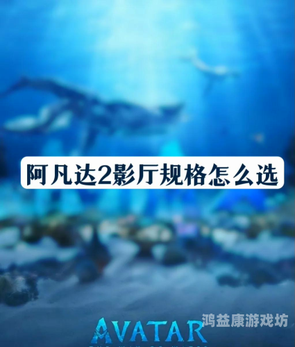 精品R级电影最新在线观看指南，精选推荐与观影平台解析