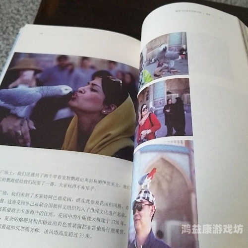 日韩精品亚洲专区在线观看，探索亚洲影视文化的魅力