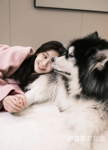 亚洲国产91一区二区，探索国产影视作品的崛起与未来亚洲国产91一区二区三区伊人