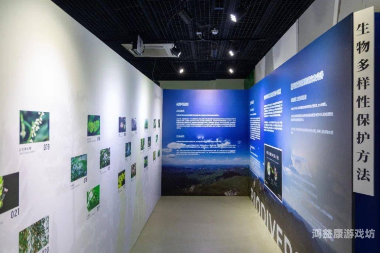 国产高清一区二区，探索中国高清影视资源的多样性与发展趋势可以润色的网站有哪些