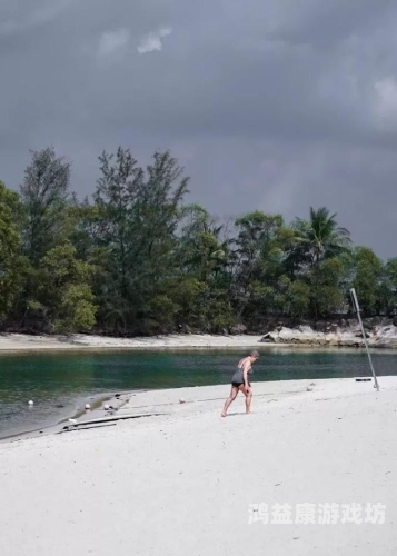 日本人妻少妇久久中文字幕，文化现象背后的社会观察