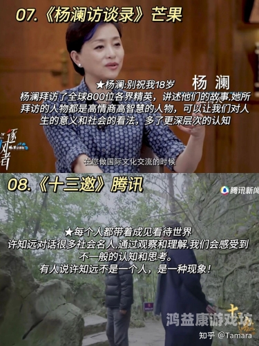 日本人妻少妇久久中文字幕，文化现象背后的社会观察