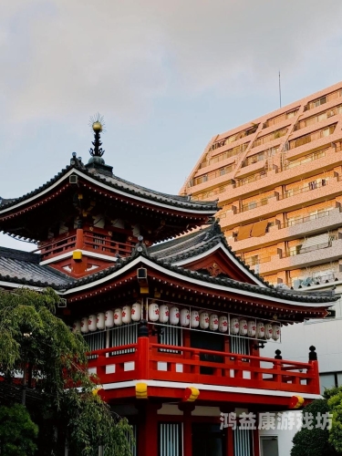 日本精品久久久久中文字幕1，深度解析日本影视文化的魅力与影响