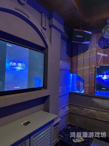 国产午夜精品久久久久KTV，夜生活的新风尚与文化体验国产午夜精品久久久久久久一区二区