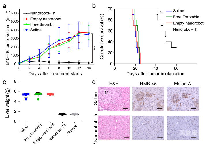 全球首款智能纳米医疗机器人，开启医疗新时代的前景与挑战无广告免费追剧软件