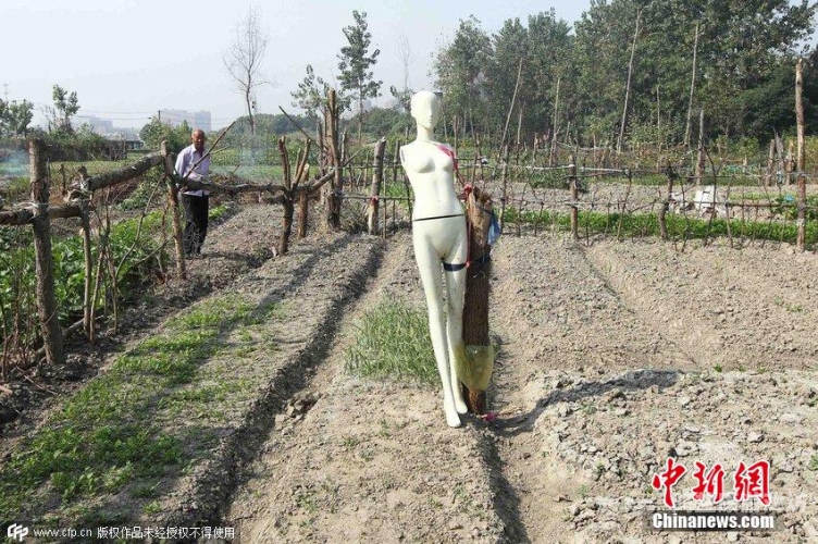 最新国产国模无码视频在线最新国产国模无码视频在线观看指南与行业趋势分析