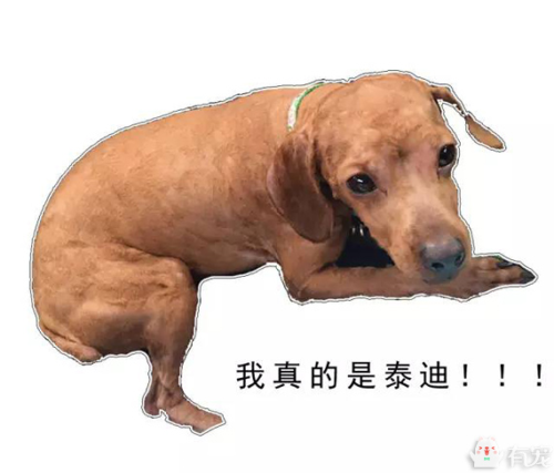 国产剃毛在线观看国产剃毛在线观看，探索中国影视产业的新趋势