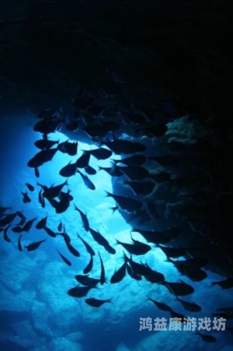 97国产公开精品，回顾经典，展望未来97国产公开精品饥渴少