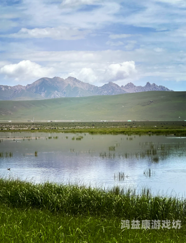 99久久婷婷国产综合精品草原99久久婷婷国产综合精品草原，探寻中国草原文化的瑰宝