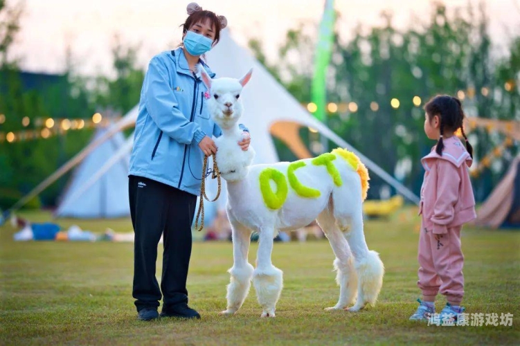 欢乐谷攻略，探索魔幻世界的黄金法则