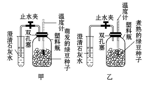 探究安装过程中的关键步骤与常见故障排除