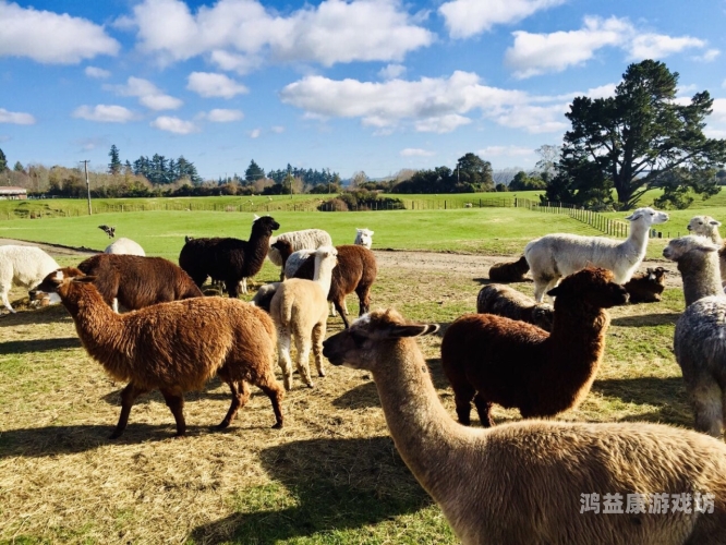 亚洲青青在线视频，探索亚洲文化的窗口与未来发展趋势青青亚青风