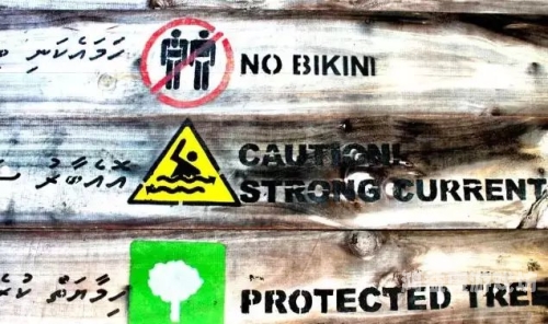 男女天堂中文AV探讨中文AV文化，男女天堂背后的社会现象与影响