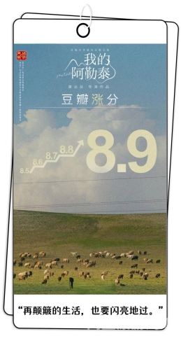 国产一区二区不卡，深度解析国产影视剧的崛起与未来趋势ysl千人千色t9t9t9t9t9mba