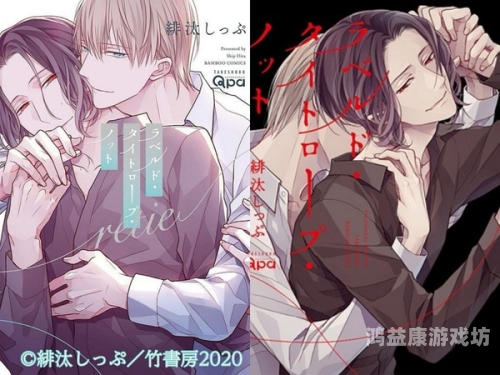 日韩无码另类一区日韩无码另类一区，探索亚洲成人影片市场的独特魅力