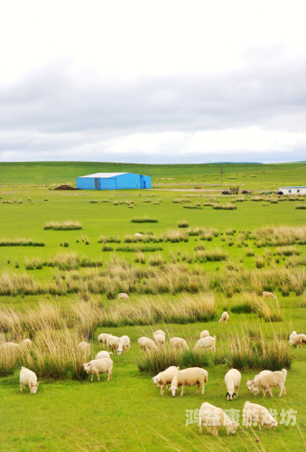 探索99精品无码专区，艺术与自由的喷水之美