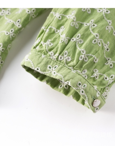 欧洲青草衣衣一区入口在线看，深度解析与观影指南青草mv