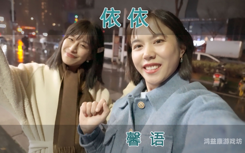 依依成人精品视频在线观看依依成人精品视频在线观看，安全与隐私的全面指南