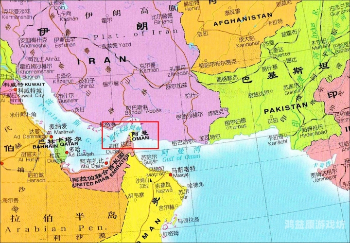 亚洲无码视频播放的现状与影响分析可以润色的网站有哪些