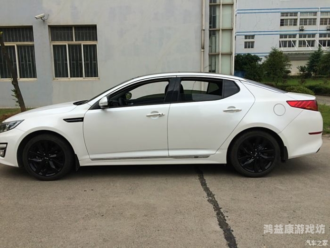 激情无码精选久久，探讨现代网络内容监管与用户需求内心激情澎湃,久久不能平静