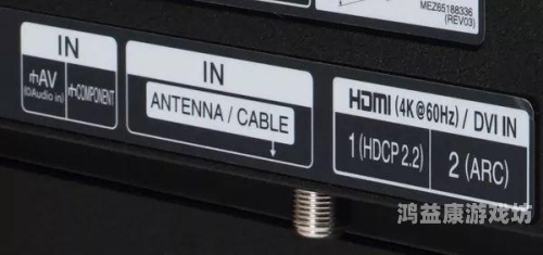 探索数字时代下的影视文化，一本到DVD无码中字在线观看的演变与影响