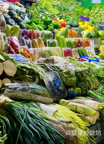 手机版，移动生活的信息与娱乐新宠