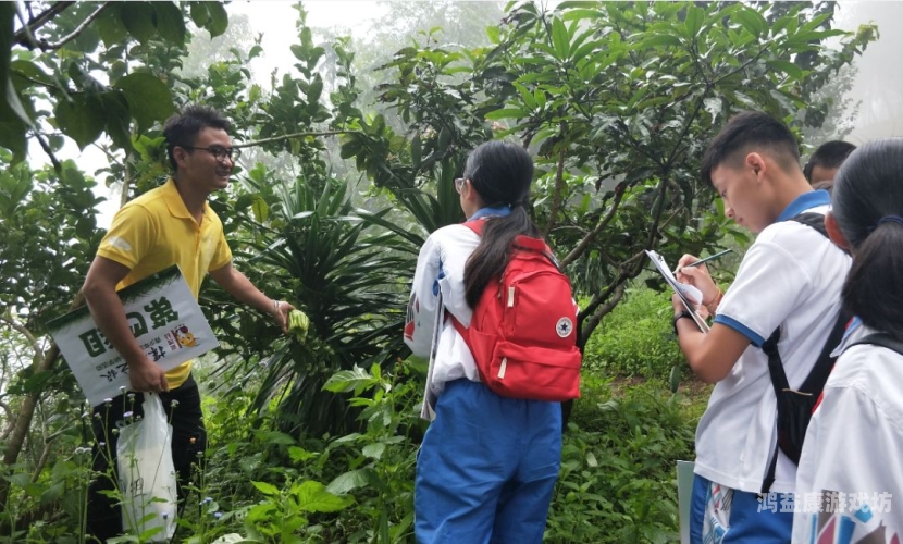 真人无码国产作爱免费探讨成人内容传播的合法性及对青少年的影响