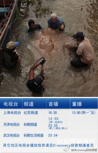 亚洲片在线资源亚洲片在线资源，探索与合法获取指南