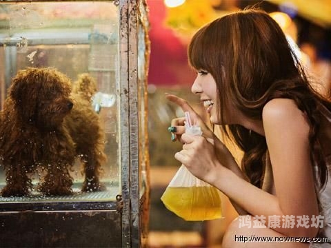 波多野结衣久久一区二区波多野结衣久久一区二区，深入解析她的职业生涯与影响力