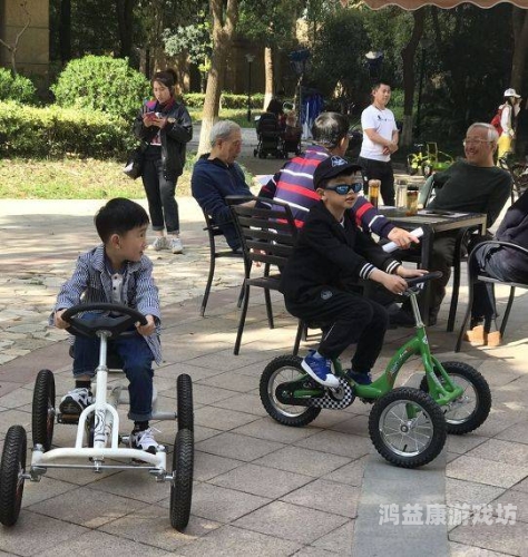 国产一级内射麻豆91国产一级内射麻豆91，探索中国影视产业的崛起与挑战