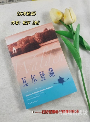 三寸人间，探寻生活中的小确幸与深远意义