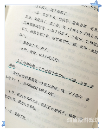 三寸人间，探寻生活中的小确幸与深远意义