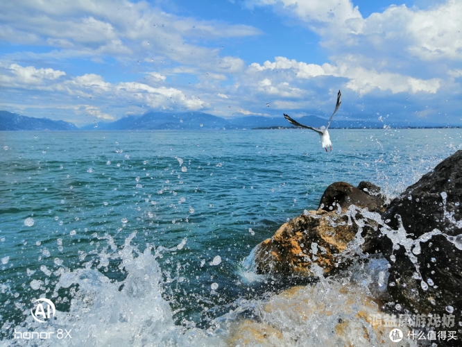 91精品在线播放视频，全面解析高清视频资源的获取与播放技巧