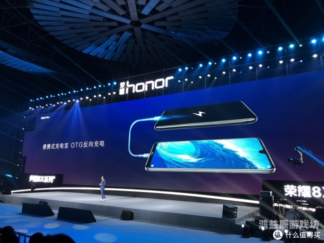 91精品在线播放视频，全面解析高清视频资源的获取与播放技巧