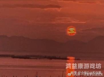 精品久久8x国产免费观看精品久久8x国产免费观看，国产影视作品的崛起与未来展望