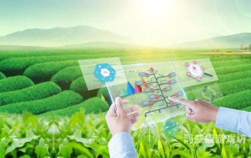 日本国产在线，数字化浪潮下的本土产业崛起与挑战可以润色的网站有哪些