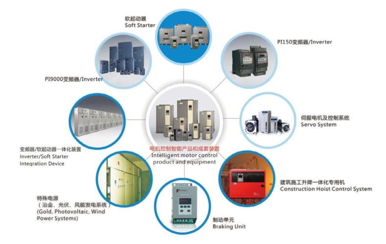 国产精品P，崛起与未来展望