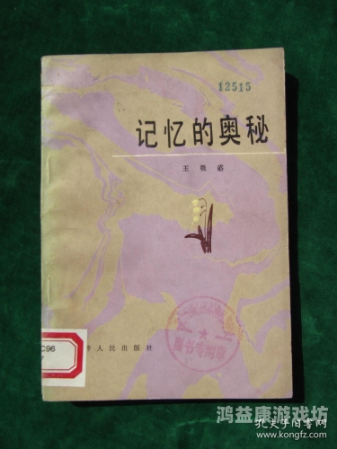 久性片，探索持久性记忆的奥秘