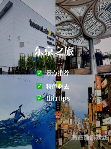 本久久伊人东京热加勒比东京热与加勒比，探索本久久伊人的文化魅力与旅游胜地